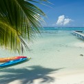 Plage de L'Hotel Les Tipaniers